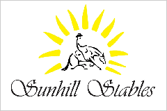 SUNHILLSTABLES Die Ranch in Heiligenkreuz BURGENLAND – Pferdezucht – Mini Australian Shepherdzucht - Bogenschießen - Gesundes für Mensch und Tier