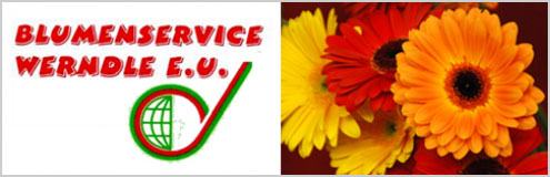 Blumenservice Werndle e.U. - Blumen Pflanzen Balkonblumen Ebbs Tirol